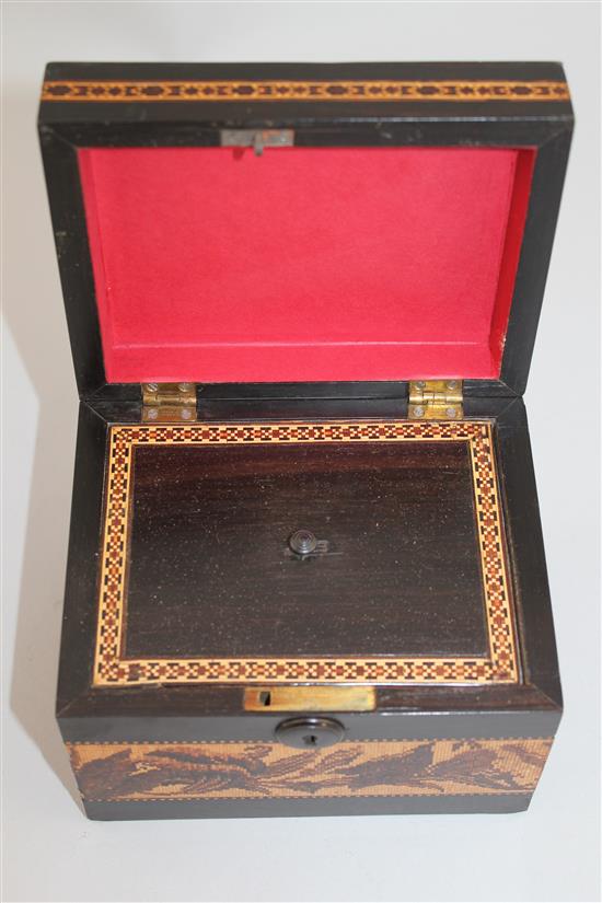 A Tunbridge ware coromandel flower bouquet tea caddy, 8.5in.